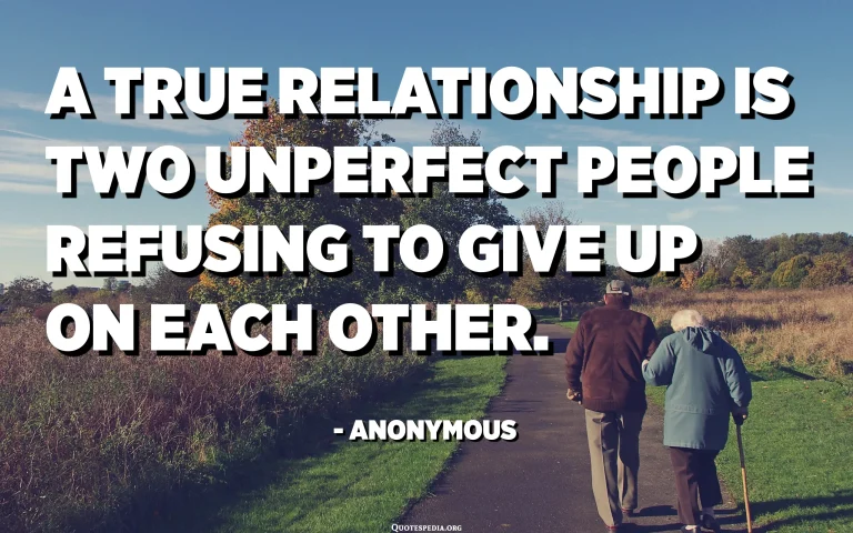 a true relationship is two imperfect people refusi