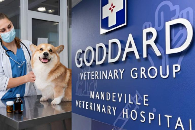 Goddard Veterinary Group Chalfont St. Peter: A Haven for Pet Care on Lower Road, Chalfont Saint Peter, Gerrards Cross